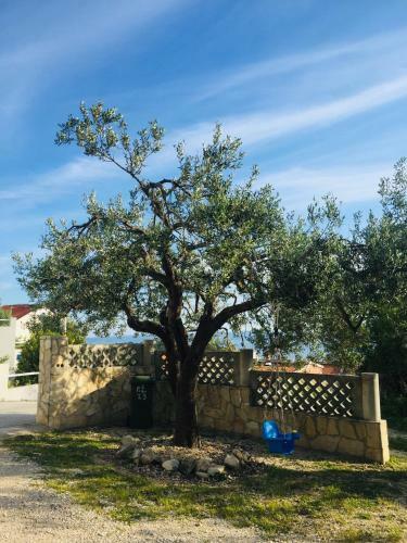 Apartamento Eko Villa Moca