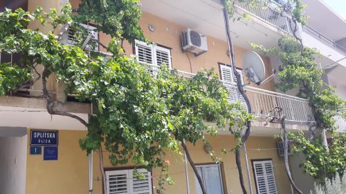Apartments With A Parking Space Makarska - 13912