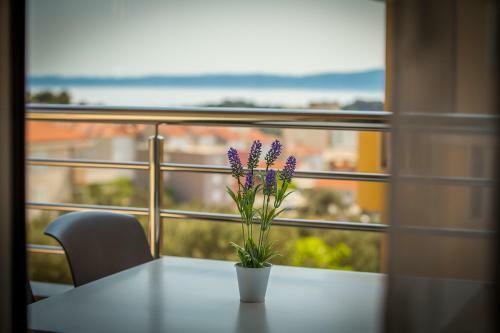 Green Olive Apartments