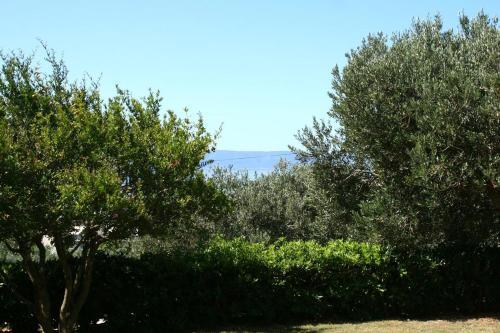 Apartments With A Parking Space Makarska - 6768