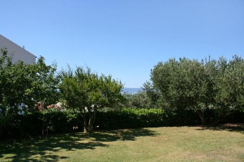 Apartments With A Parking Space Makarska - 6768