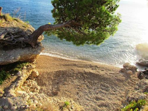 Hostal City Beach Room Medna