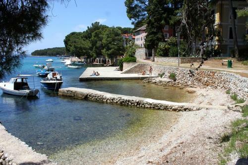 Apartments With A Parking Space Mali Losinj (losinj) - 15858