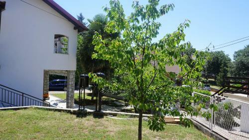 Apartmani Gaj