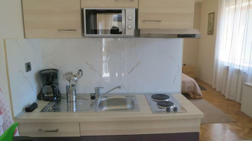Studio Apartment Branka