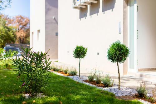 Apartamentos Villa Neda