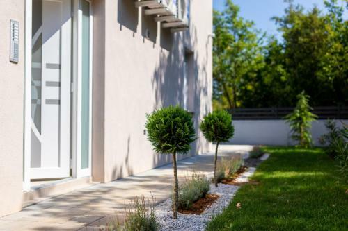Apartamentos Villa Neda