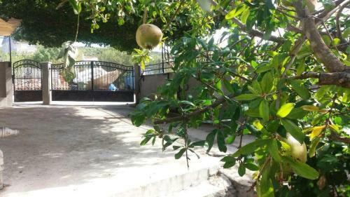 Apartments By The Sea Vinisce (trogir) - 11856