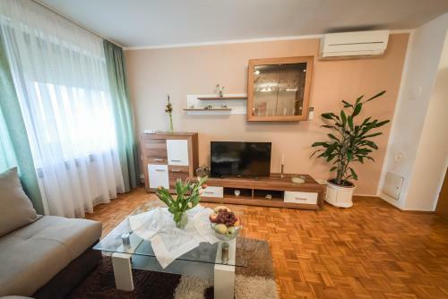 Apartamentos Magnolia