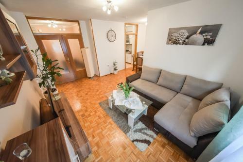 Apartamentos Magnolia
