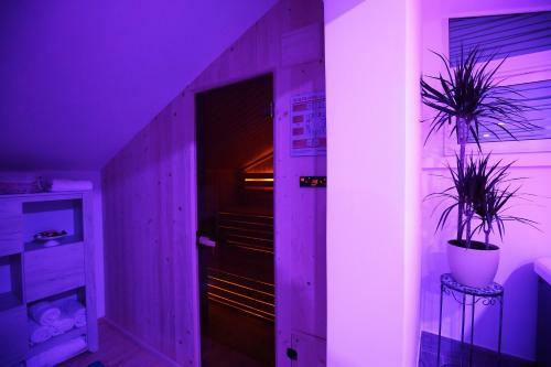 Apartamentos Fit Luxury Penthouse