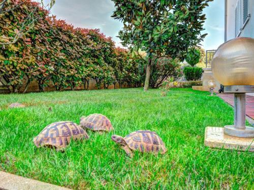 Holiday Home Villa Drago