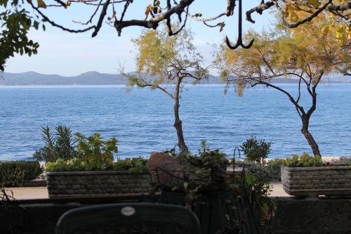 Apartment Zadar - Diklo 5911a