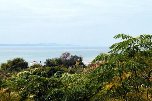 Apartamentos Studio Zadar - Diklo 292a