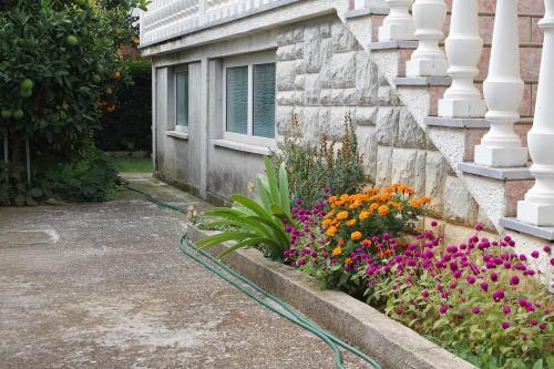 Apartamentos Studio Zadar - Diklo 292a