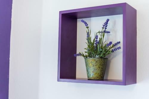 Evergreen Apartments Zadar