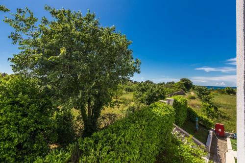 Adriano 2br Apartment With Terrace