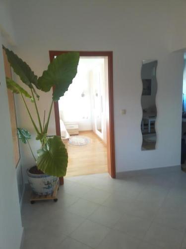 Apartment Zadar 13106b