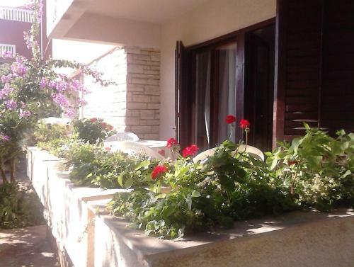 Apartment Zadar - Diklo 13327a