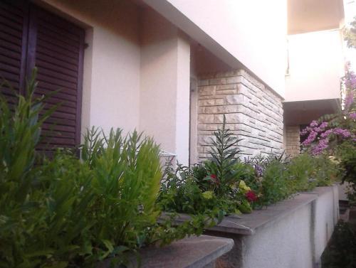 Apartment Zadar - Diklo 13327a