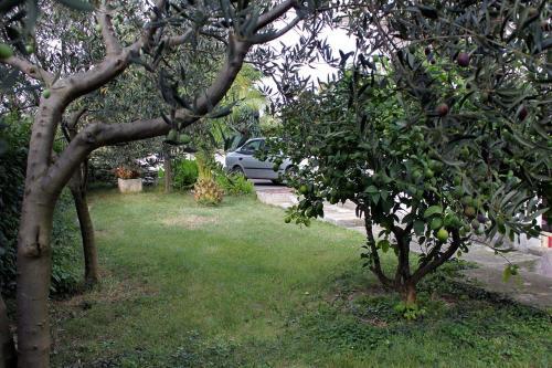 Apartment Zadar - Diklo 292b