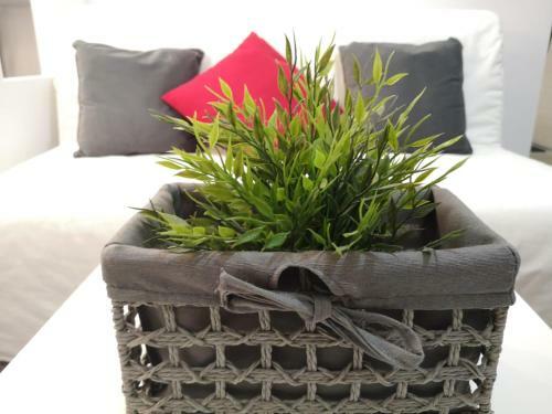 Studio Apartment Iva & Mia