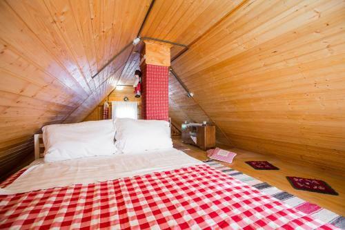Agroturismo Cottage In The City