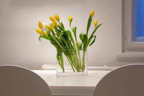 Class Apartment