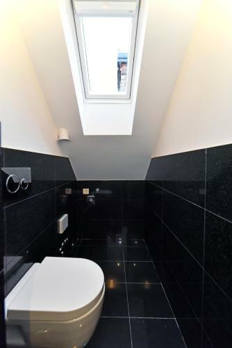 Apartment Skylight