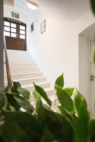 Apartment La Bodega