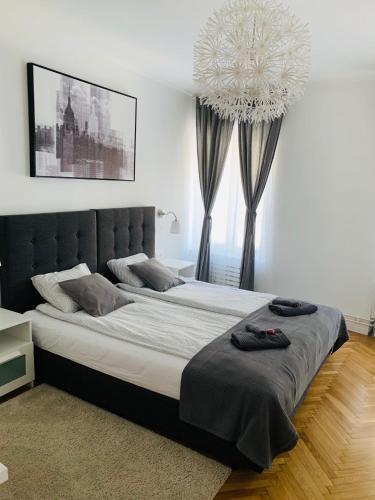 Apartmani Sb 42