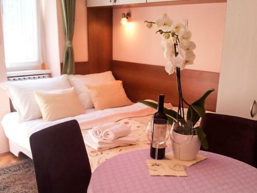 Studio Apartment In Zagreb With Balcony, Wifi, Washing Machine (3797-1)