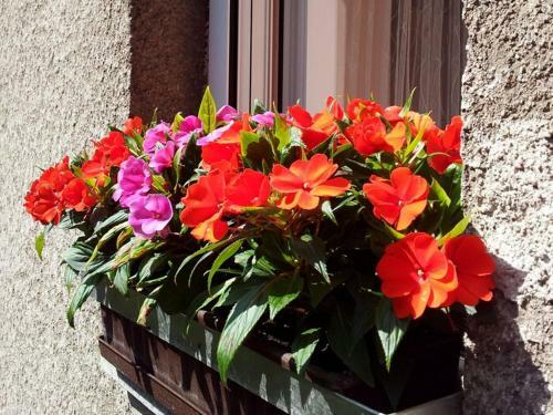 Studio Apartment In Zagreb With Balcony, Wifi, Washing Machine (3797-1)