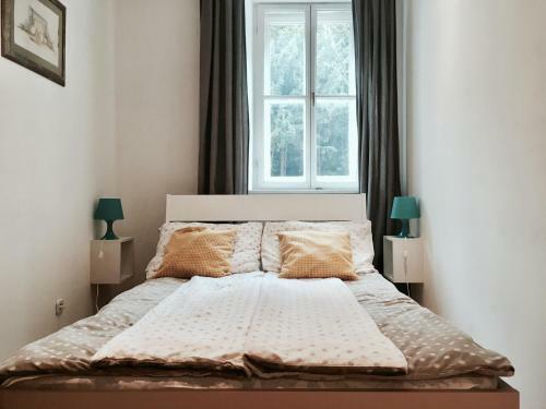 Apartment Mesnicka