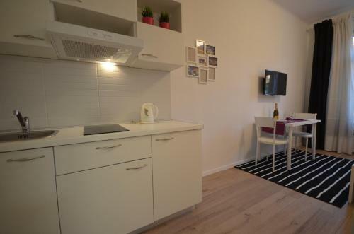 Downtown Luxury Apartment