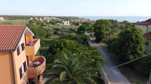Anita's Terrace Apartment