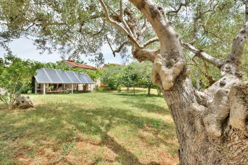 Hostal Nadia House With Apartments