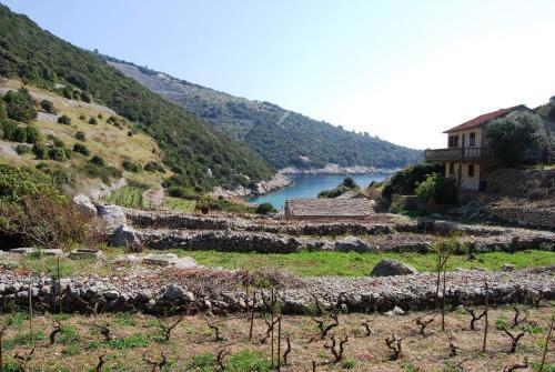 Apartment Pavija Luka 12758a