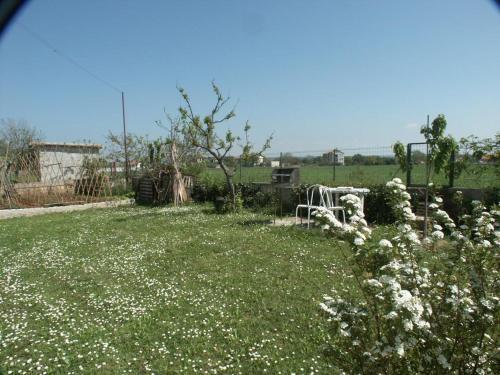 Apartamentos Studio Valbandon 2311a