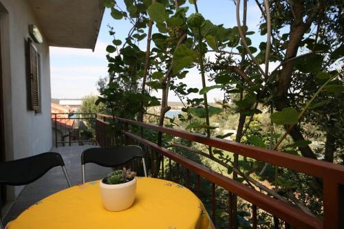 Apartment Sukosan 6239b