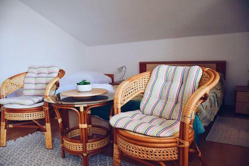 Apartments Darko