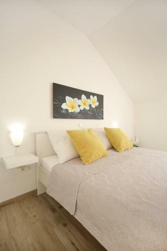 Apartments Nada