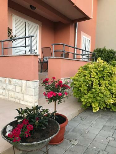 Apartments Juran Sukosan