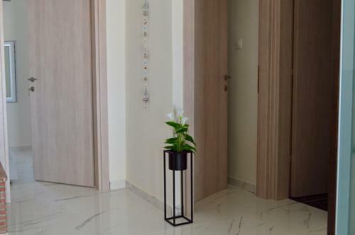Apartamento Aelia Sea View Studios