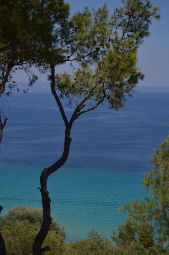 Apartamento Aelia Sea View Studios