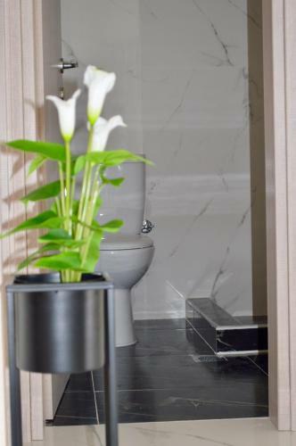 Apartamento Aelia Sea View Studios