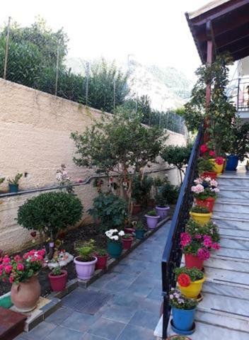 Apartamento Margaritas' Rooms