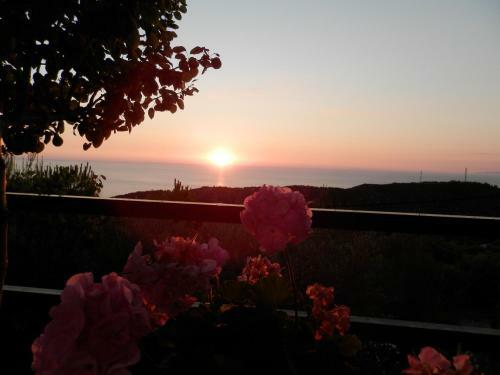 Apartamento Green Villa