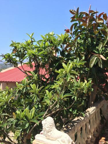 Apartamento Traditional Village