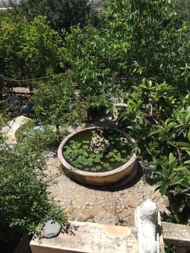 Apartamento Traditional Village